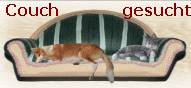 Couch gesucht - Tiere suchen ein Zuhause