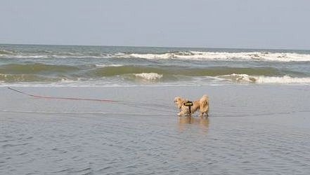 Adv09_02_9 Adv09_02_9