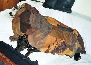 Adv09_22_7 Adv09_22_7