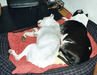 Adv09_22_9 Adv09_22_9