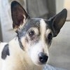 Ben_Lotte_jrt12_thbo_thumb