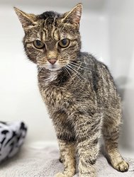 Frieda_k12_tt Frieda_k12_tt