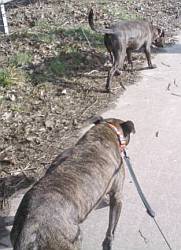 Hank_cg_he_23 Hank_cg_he_23
