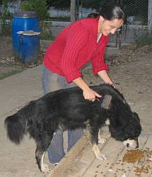 Tierrzte helfen - Smeura, Rumnien 2005
