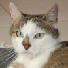 Kassy_kw_ubn_thumb Kassy_kw_ubn_thumb