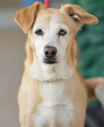 Lilly_lu_hu_hi Lilly_lu_hu_hi