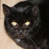 Morle-Morle_kw15_tld_thumb