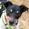 Schroeder_jrt13_ln_thumb
