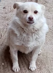 an_Bella_mi_ag an_Bella_mi_ag