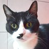 Mobi_no_k_bh_thumb