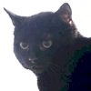 tld_Wendsday_thumb