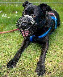 Baron_cc19_thbo_5 Baron_cc19_thbo_5