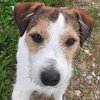 Fynn_jrt22_ps_thumb