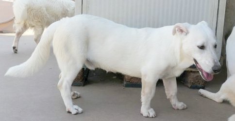 Maran_marm23_str_6 Maran_marm23_str_6