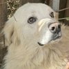 Miro_marm19_str_thumb
