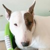 Rocky_mb18_bin_thumb